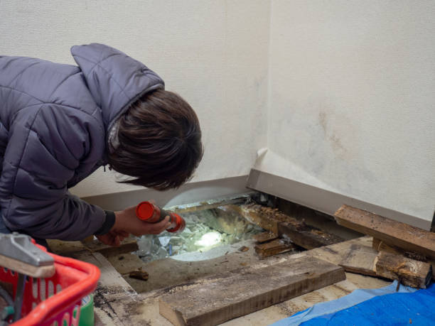 Best Industrial Mold Remediation  in Point Of Rocks, MD