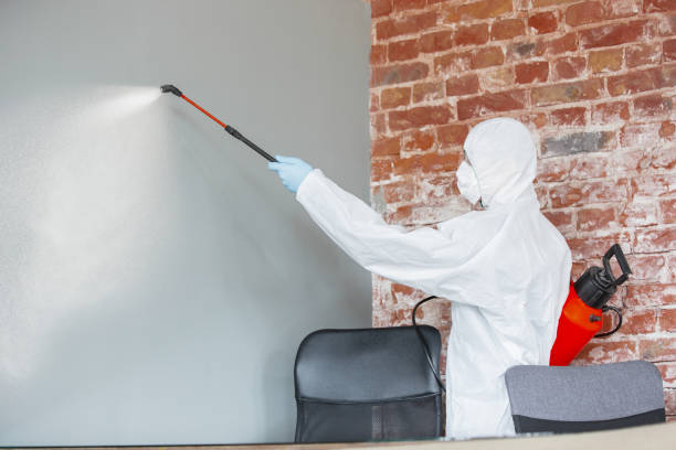 Best Crawl Space Mold Remediation  in Point Of Rocks, MD