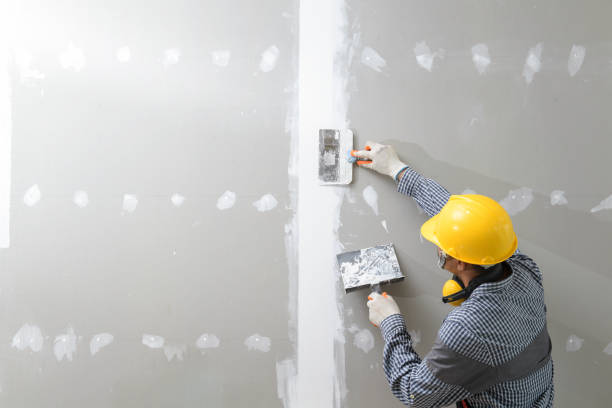 Best Commercial Mold Inspection  in Point Of Rocks, MD