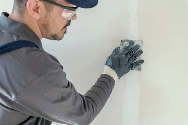 Best Mold-Related Health Consultation  in Point Of Rocks, MD