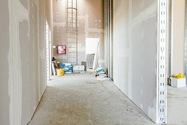 Reliable Point Of Rocks, MD Mold Removal Solutions
