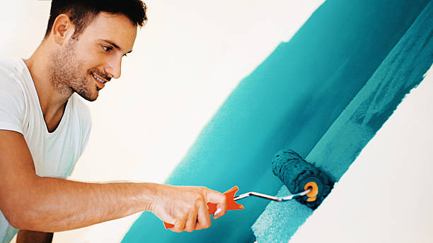 Best Emergency Mold Remediation  in Point Of Rocks, MD