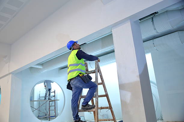 Best Mold Odor Removal Services  in Point Of Rocks, MD
