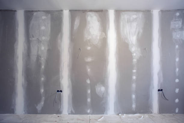 Asbestos and Lead Testing During Mold Inspection in Point Of Rocks, MD
